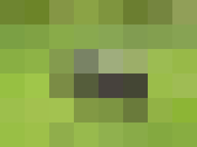 what is it?