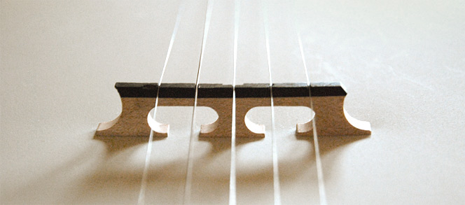 banjo